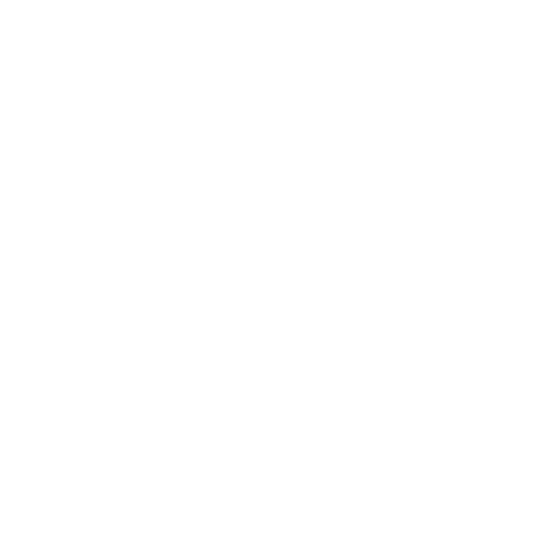 Video Play Icon